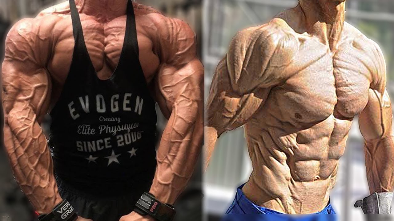 4-7% Body Fat - The Most Shredded Physiques (SHREDDED TO THE BONE