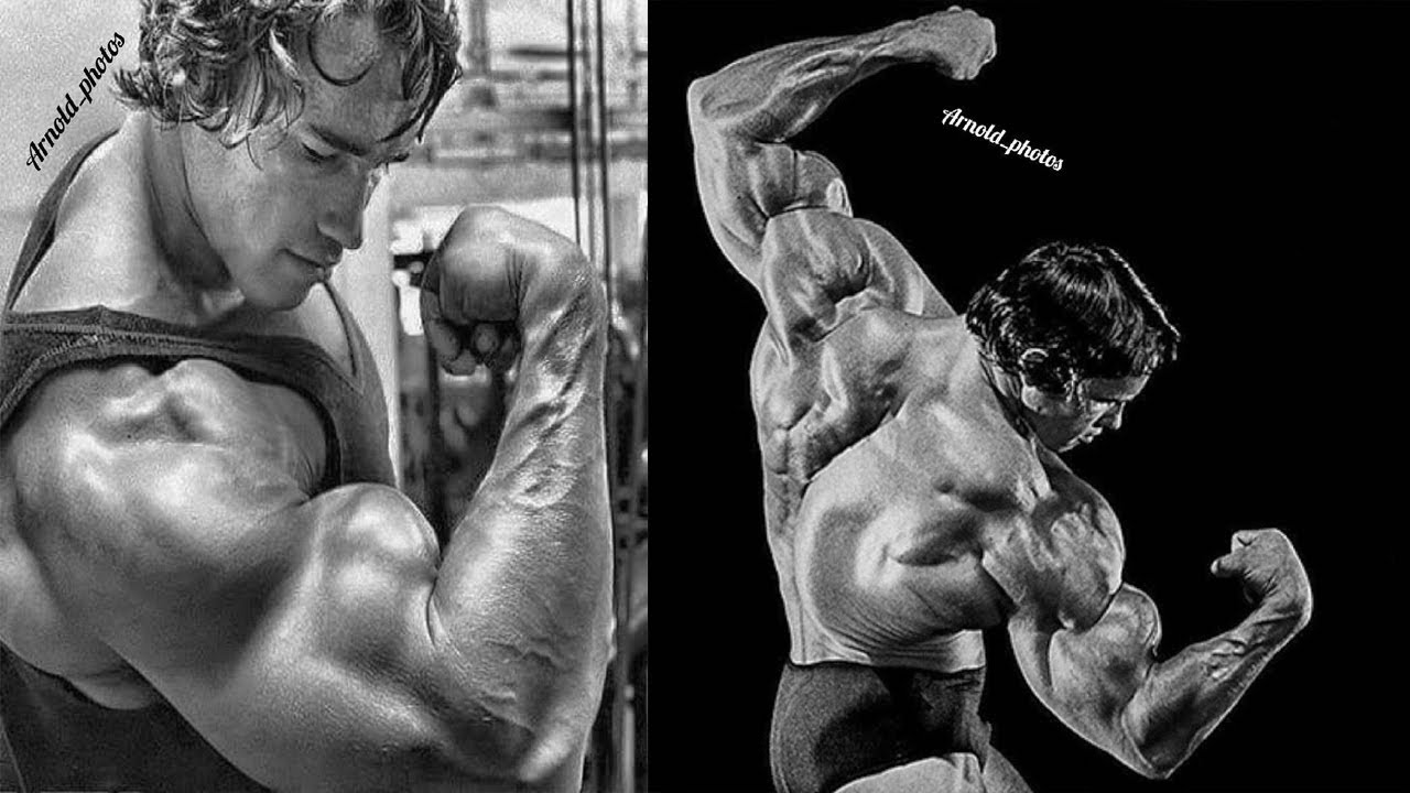 Arnold Schwarzenegger, Jay Cutler and Ronnie Coleman Training - THEN & ...